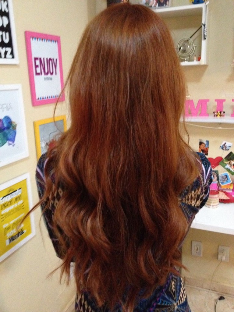 Blogueira de Brasília